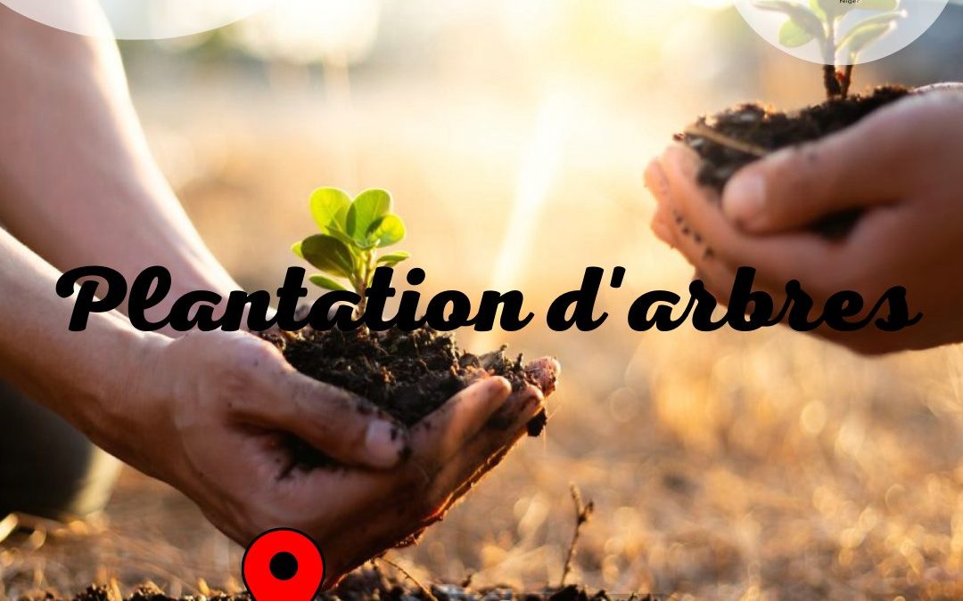#Campagnedeplantation