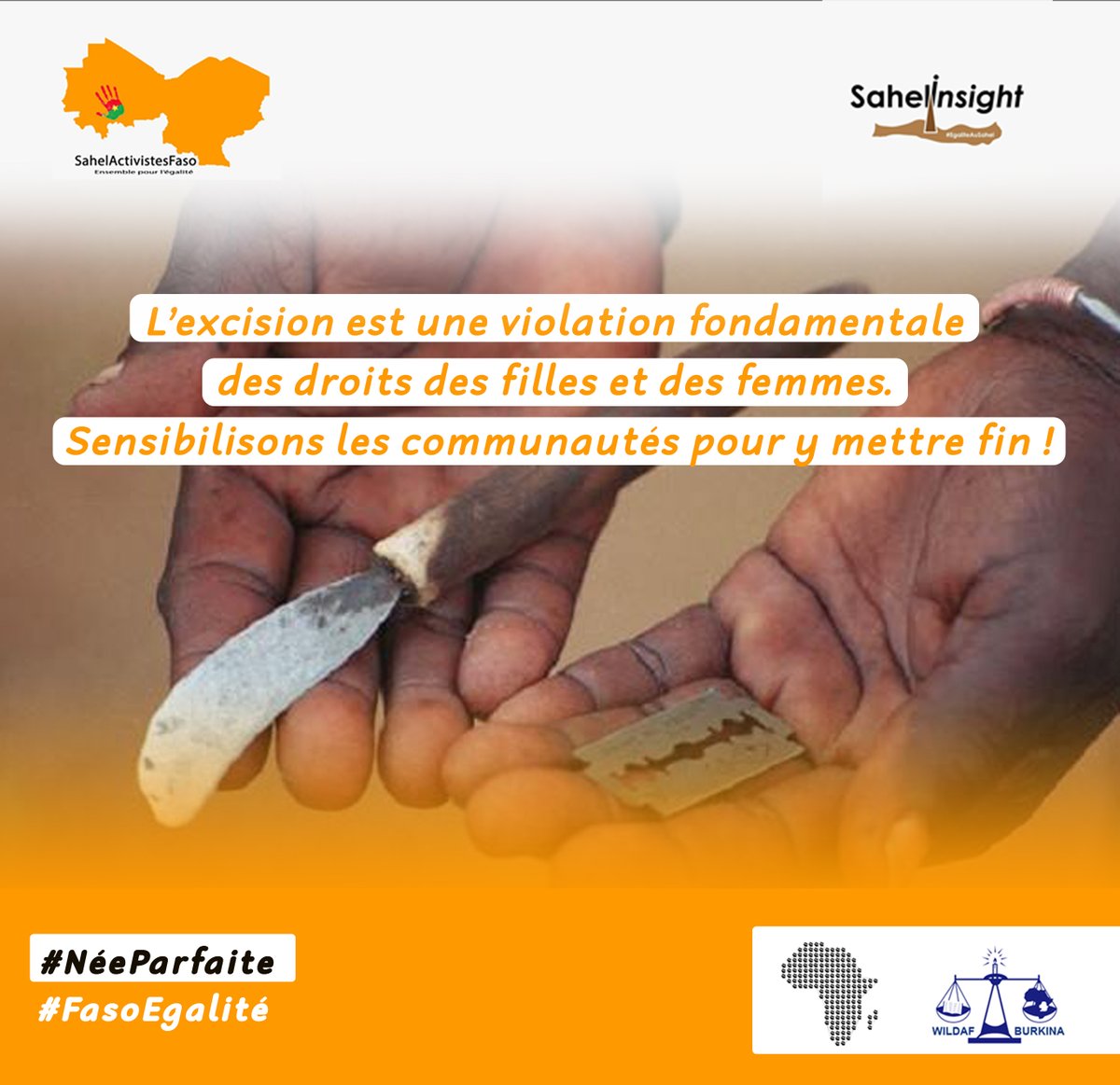 Illustration - #NéeParfaite